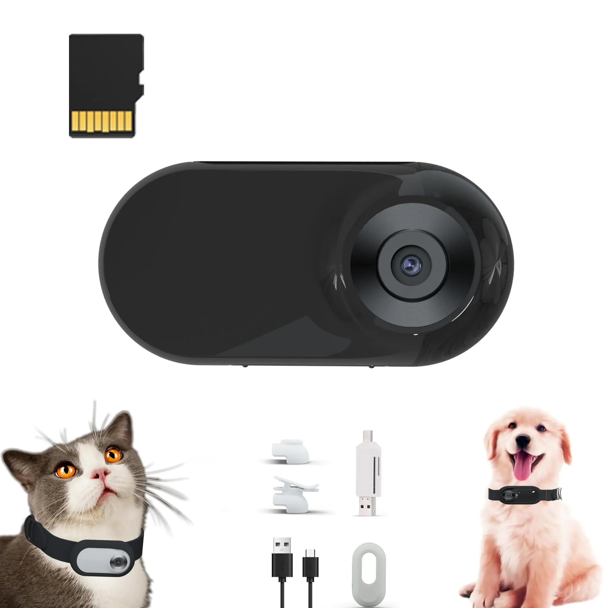Caméra pour chat Daeidl avec carte SD